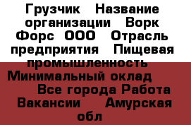 Грузчик › Название организации ­ Ворк Форс, ООО › Отрасль предприятия ­ Пищевая промышленность › Минимальный оклад ­ 27 000 - Все города Работа » Вакансии   . Амурская обл.